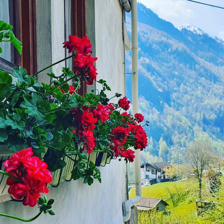 Coccinella House Villa Calasca-Castiglione Екстериор снимка